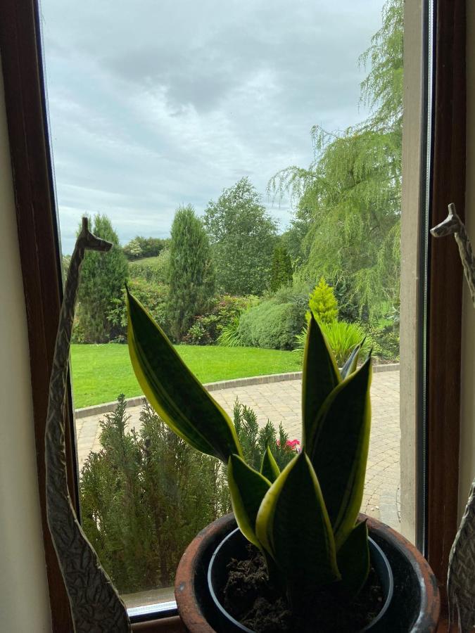Corness House B&B Monaghan Kültér fotó